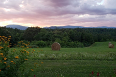 Faux-Sunflowers-Nice-Sky-Haybales-2022