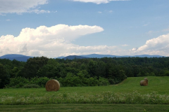 Haybales-and-Early-WFF-2022