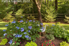 Patti-Booths-Garden-2022-1