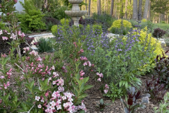 Spring-garden-Kunkle-Family