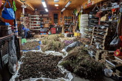 seed-collection-in-garage